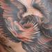 tattoo galleries/ - Traditional Eagle tattoo - 65573